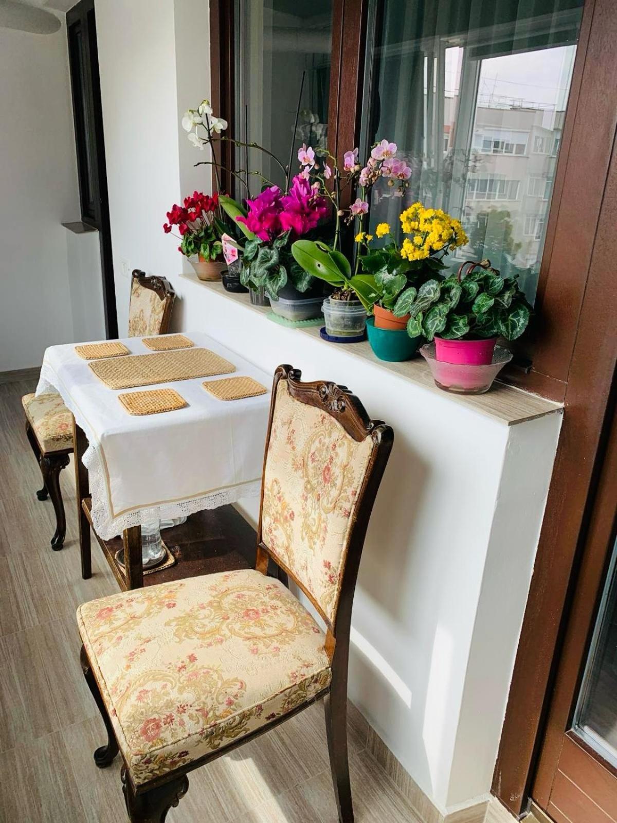 Sofiart Apartment Бухарест Екстер'єр фото